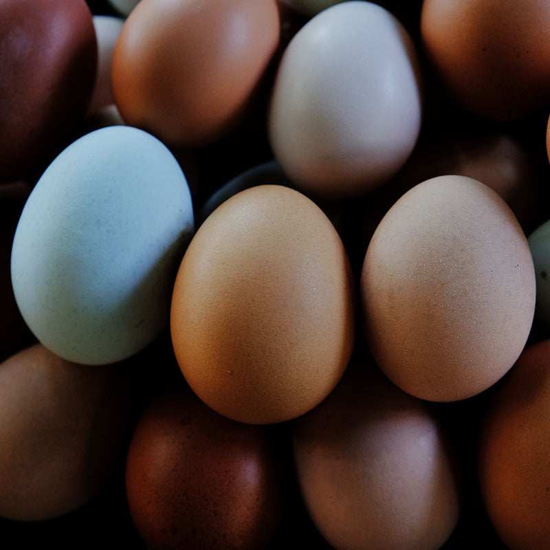 1 Dozen Pasture-Raised Eggs